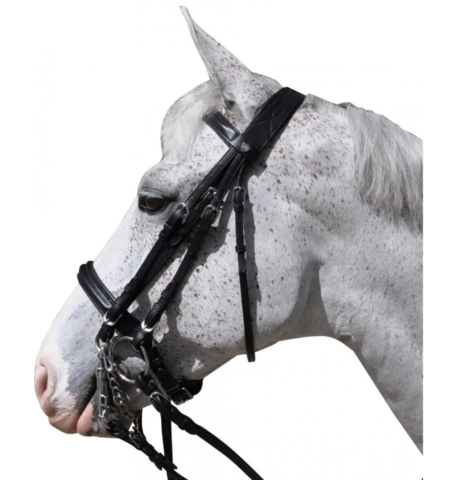 Bride Hagen Flags & Cup - Bride Dressage Equitation