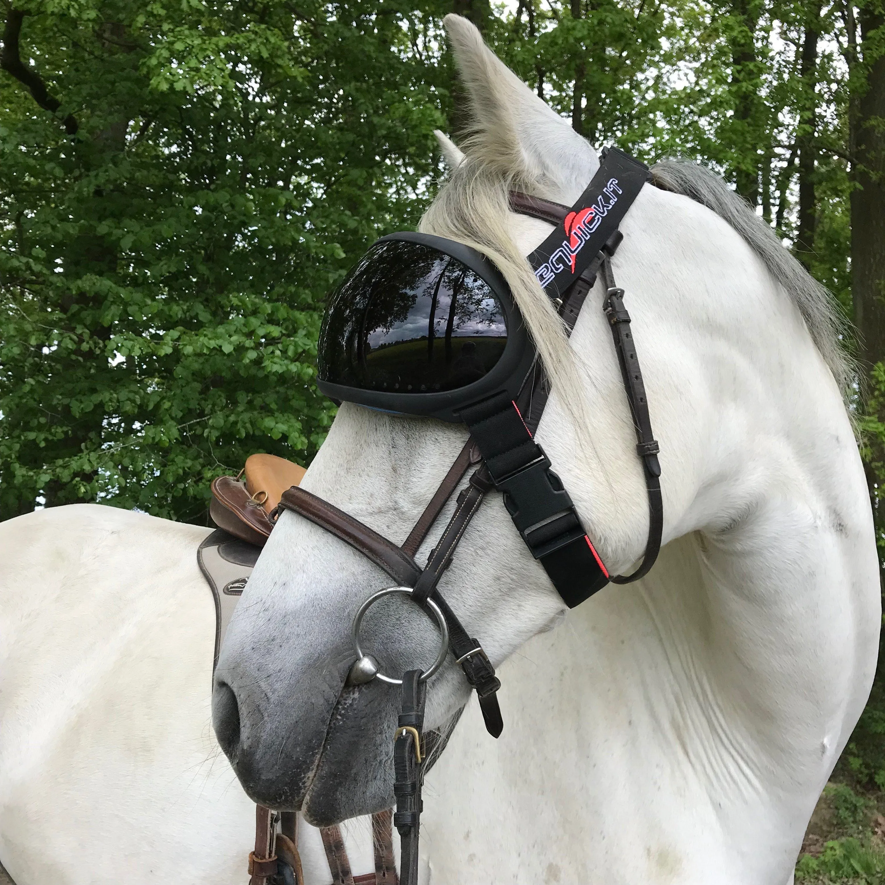 Pack eVysor + masque Léger Equivizor avec cache-oreilles