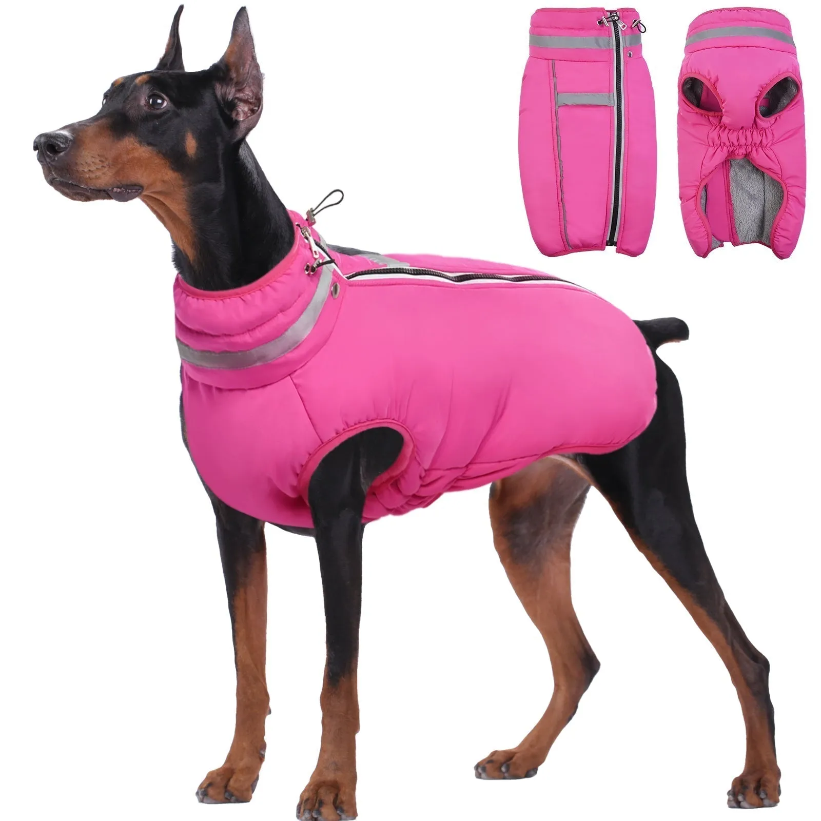 PawComfort - Manteau d'hiver réfléchissant pour chiens | Visibilité et confort