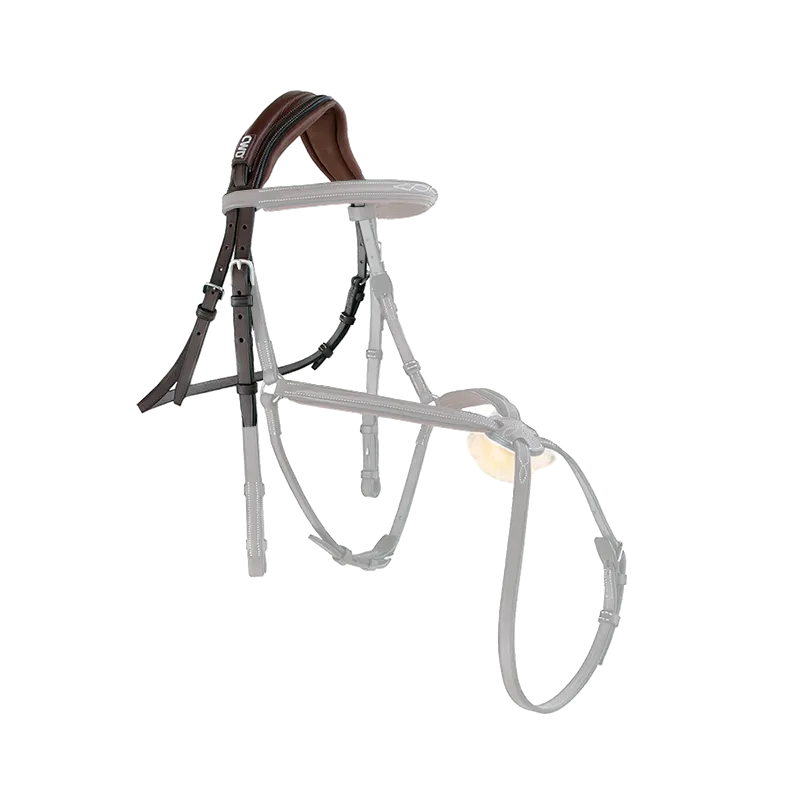 Têtière anatomique Sport Color (BR09)